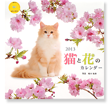 猫と花のカレンダー2013