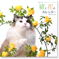 猫と花のカレンダー2016