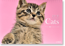 Cats2018