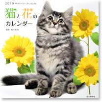 猫と花のカレンダー2017