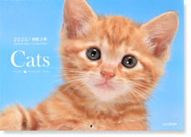Cats2020